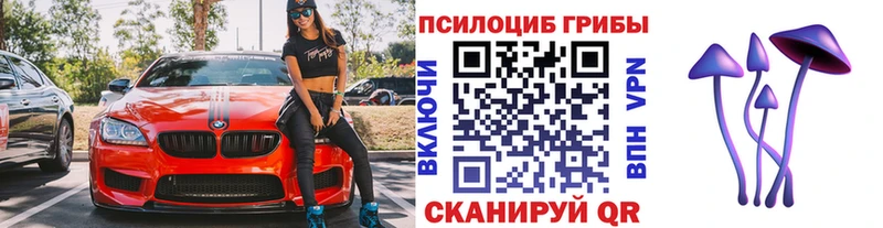Галлюциногенные грибы Psilocybine cubensis  Тайга 